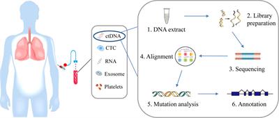 Application of Circulating Tumor DNA as a Biomarker for Non-Small Cell Lung Cancer